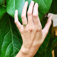 Charger l'image dans la galerie, Solitaire Véronique